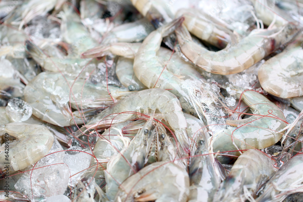 Fresh shrimps in seafood market. Fresh shrimps in seafood market.