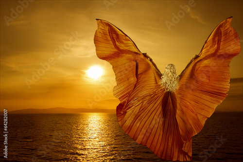 Woman with butterfly wings flying on fantasy sea sunset #64282007