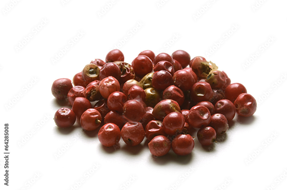 Piper Pfeffer Pepe rosso Poivrier Red pepper Pieprz Piper Pfeffer Pepe rosso Poivrier Red pepper Pieprz