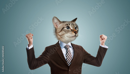 Business man cat head