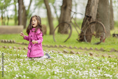 Little girl in the spring f...