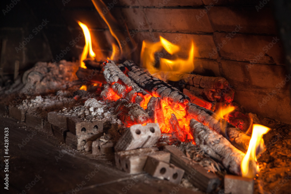 Obraz premium pizzeria firewood Oven