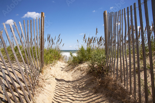 Dunes to the Beach