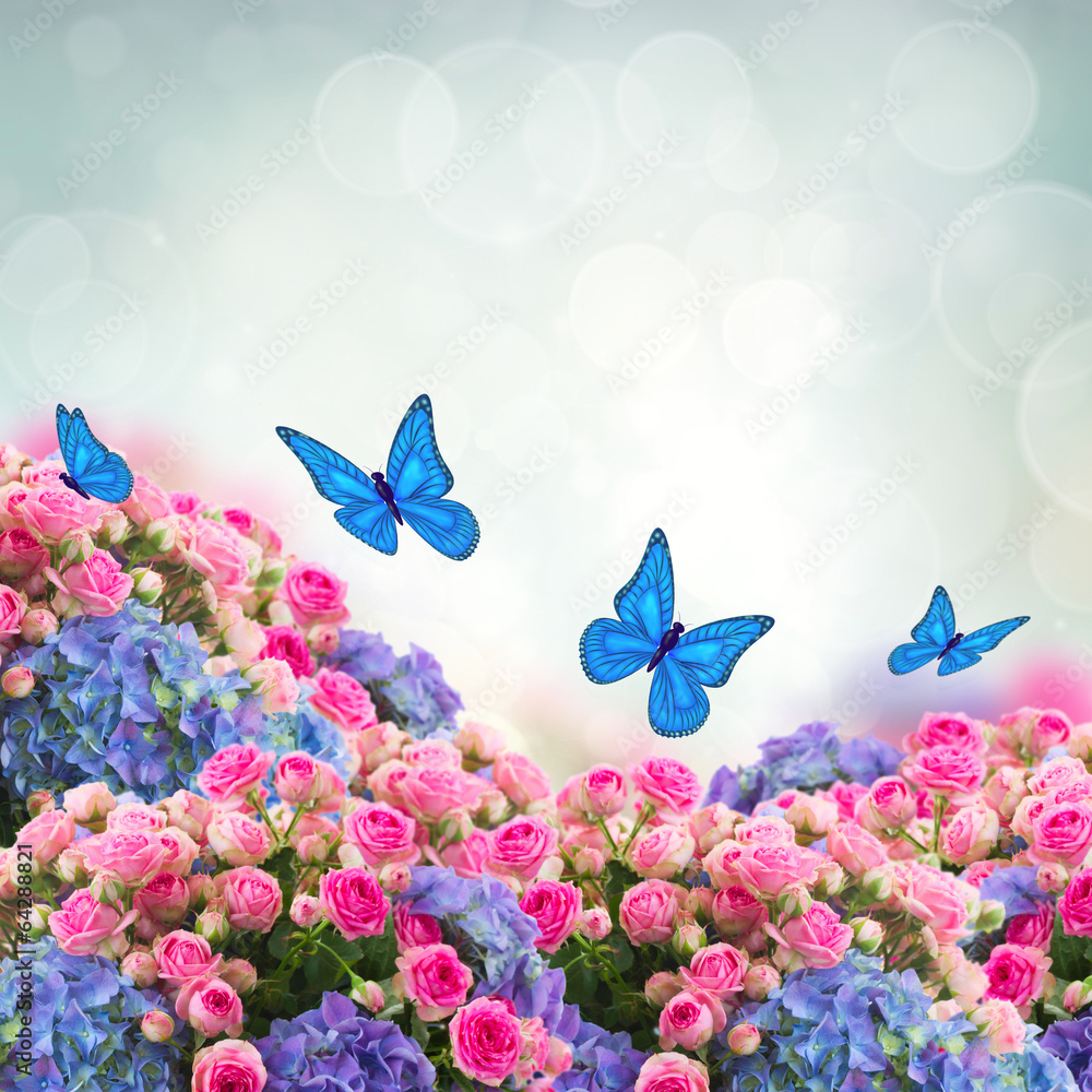 bunch of roses and hortensia flowers bunch of roses and hortensia flowers