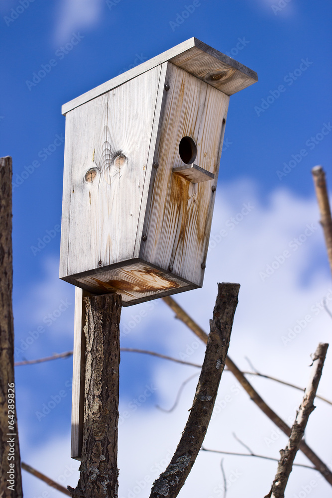 Birdhouse for the birds