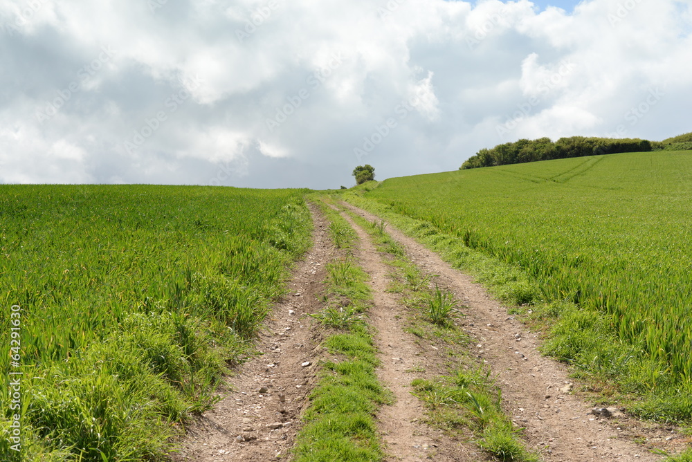 chemin de campagne