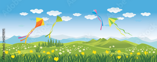 Kites in the sky