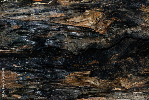burnt tree bark texture as background