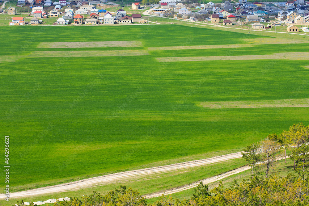 Green village field