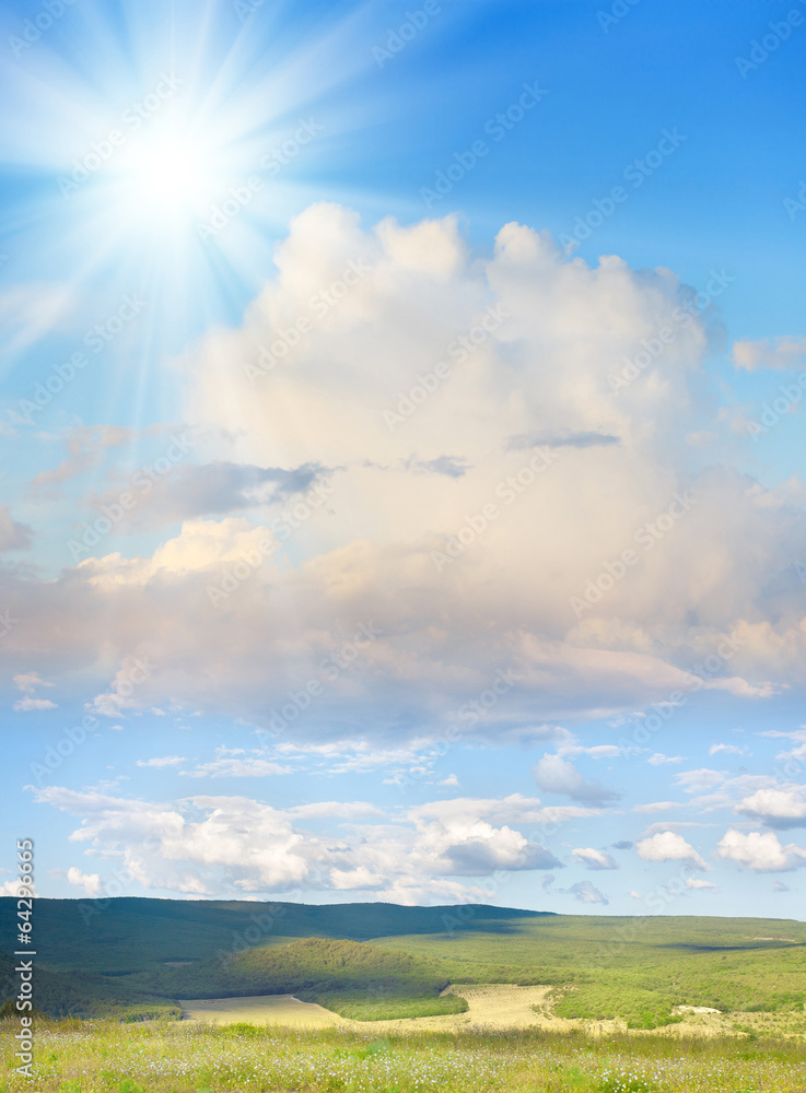 Summer view of steppe. Crimea landscape. Summer view of steppe. Crimea landscape.