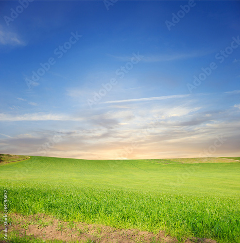Green field and blue sky