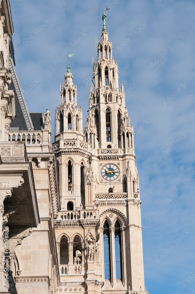 Fototapeta premium rathaus in wien
