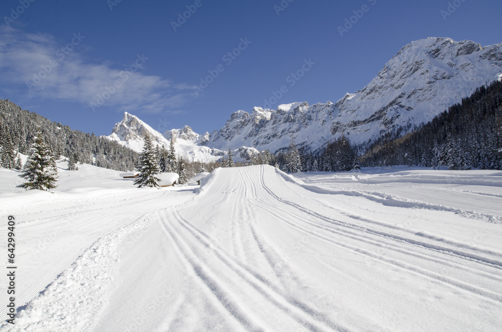 Alpi Alpi