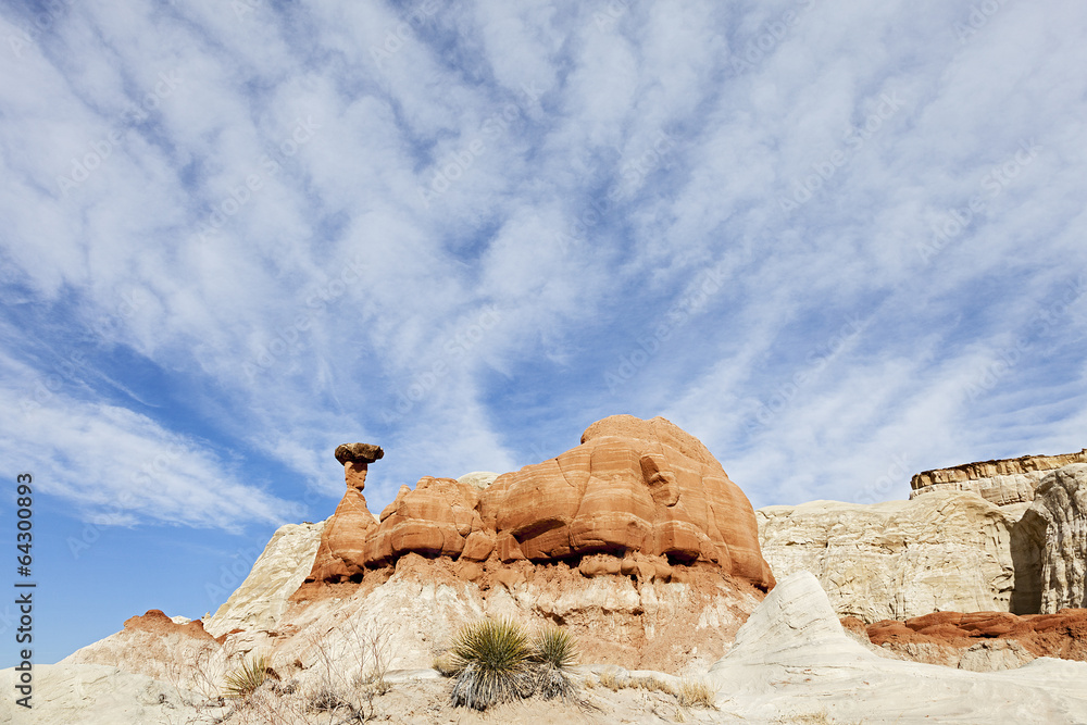 Toadstool-Red rock Hoodoo-Escalante National Monument, Utah,