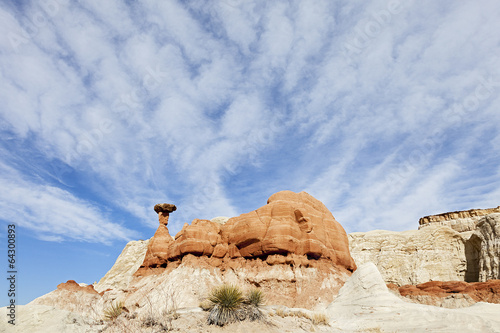 Obraz na płótnie Toadstool-Red rock Hoodoo-Escalante National Monument, Utah, w salonie