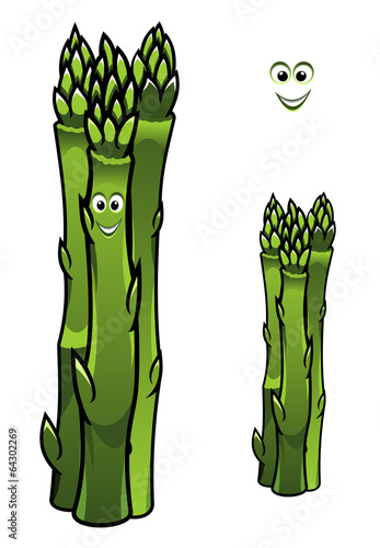 Bunch of fresh green asparagus spears