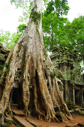 Ruin of Angkor Temple