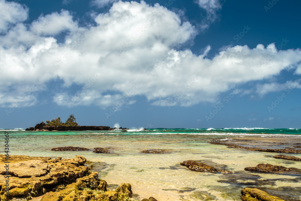 Fototapeta premium Kukaimanini