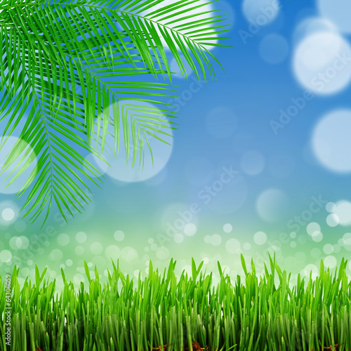 natural green background with selective focus