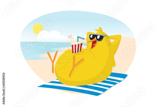 Chick on the beach
