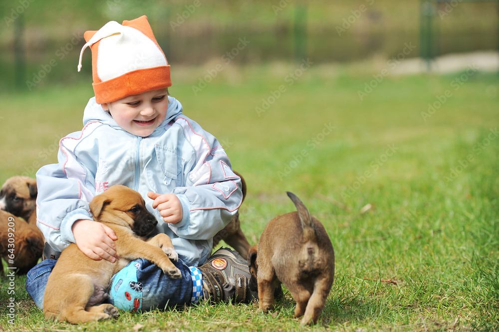 little boy with  puppies