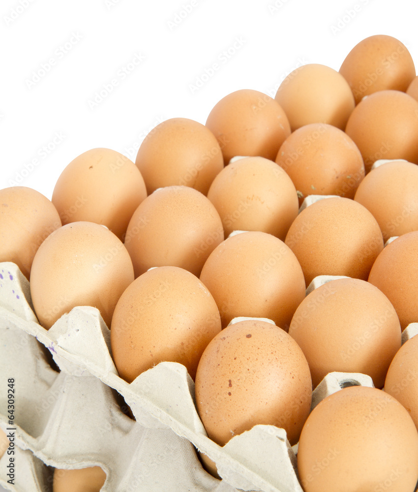 Eggs in the package isolated on white background Eggs in the package isolated on white background