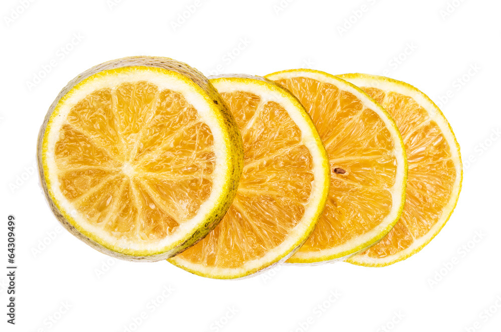 oranges on a white background oranges on a white background