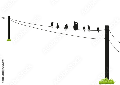 Odd One Out