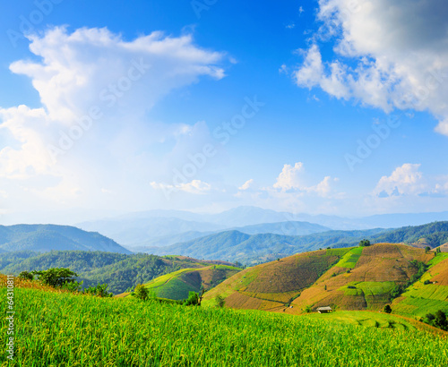 Terraced Paddy Field in Mae-Jam Village
