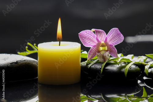 Still life with pink orchid with green leaf and black stones