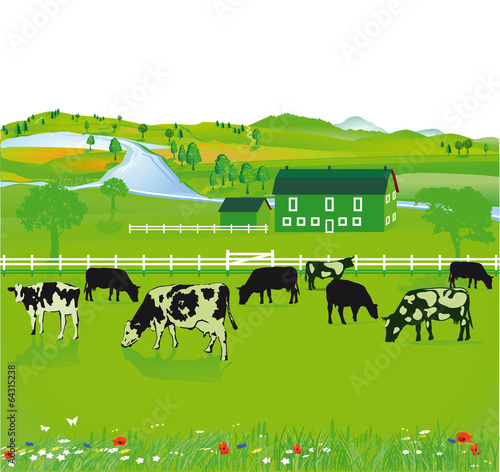 Felder und Landwirtschaft