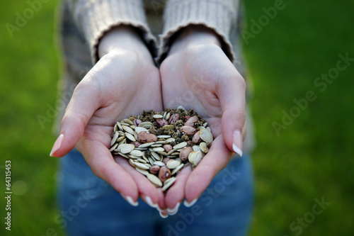 Closeup portrait of a female hands holding seeds © Drobot Dean
