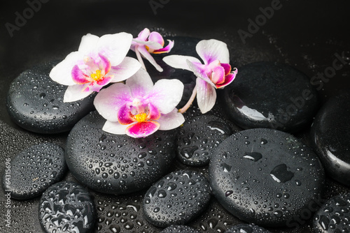 Spa concept with pink with red orchid (mini phalaenopsis) flower