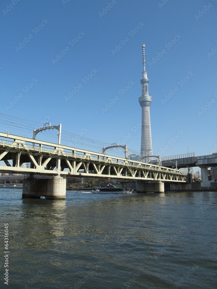 Obraz premium 東京スカイツリーと鉄橋