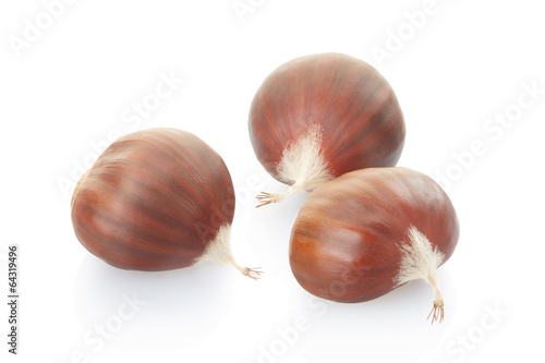 Chestnuts group on white, clipping path