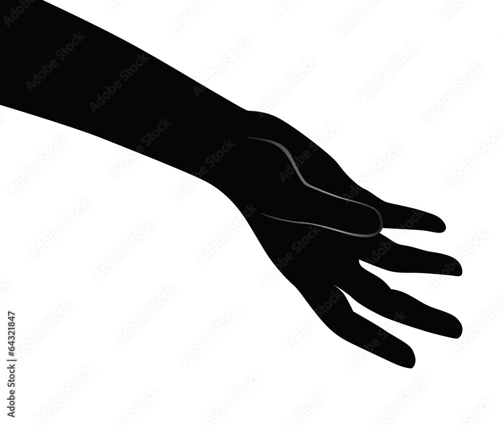 Human open palm
