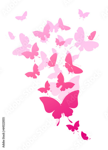 butterflies design