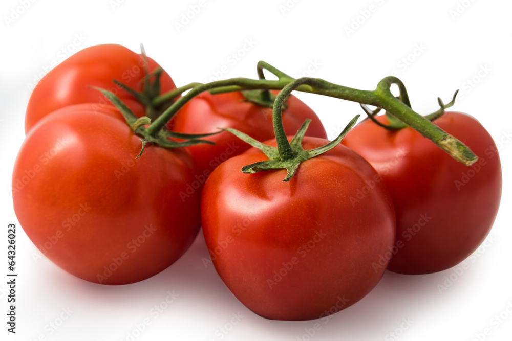 fresh tomatoes