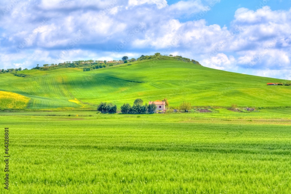 green grass field landscape under blue sky and clouds