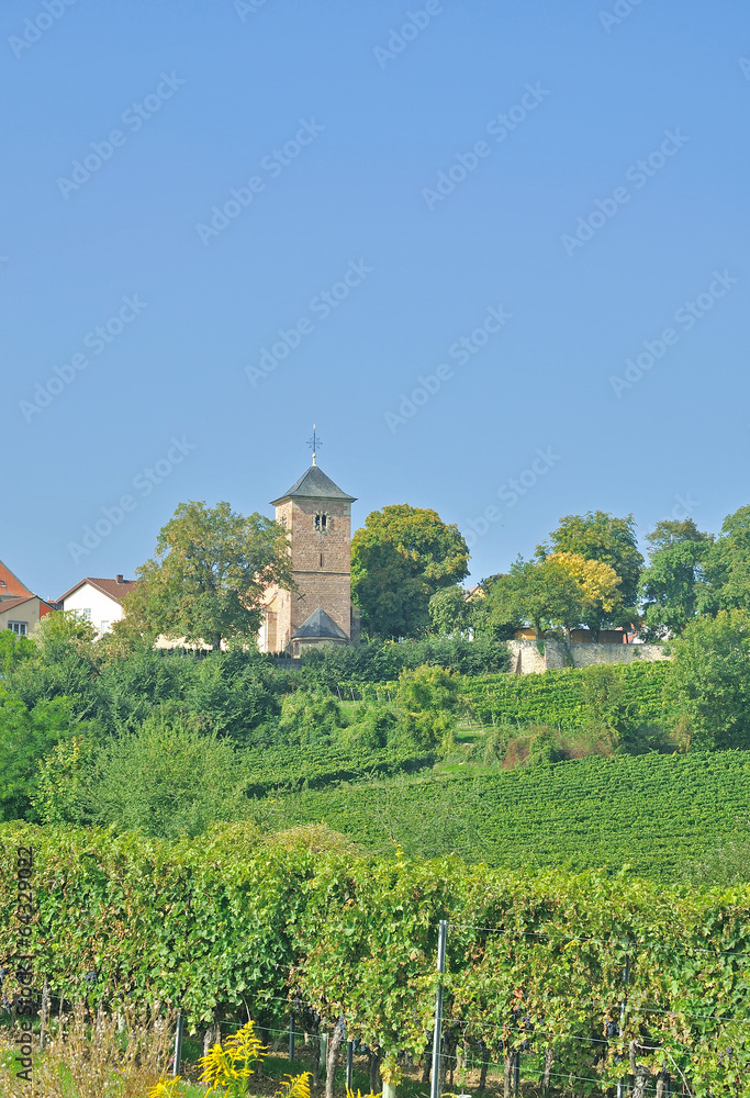 Weinort Herxheim am Berg nahe Bad Dürkheim