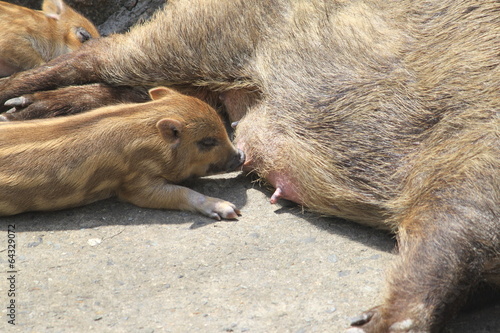 500_F_64329072_b9BtKTiov6WEtFN