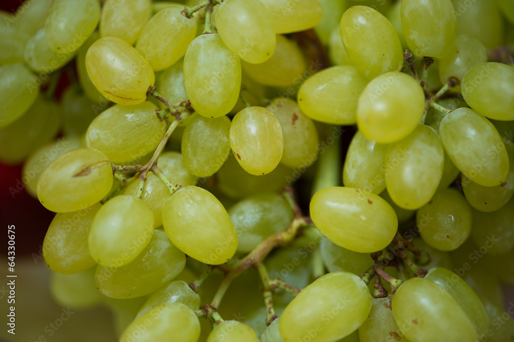 Green grapes in healthy eating concept