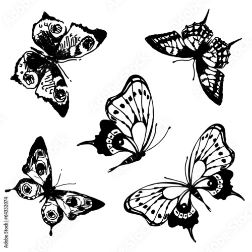 butterflies design
