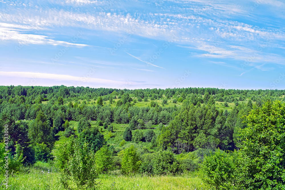 Obraz premium Summer Russian landscape