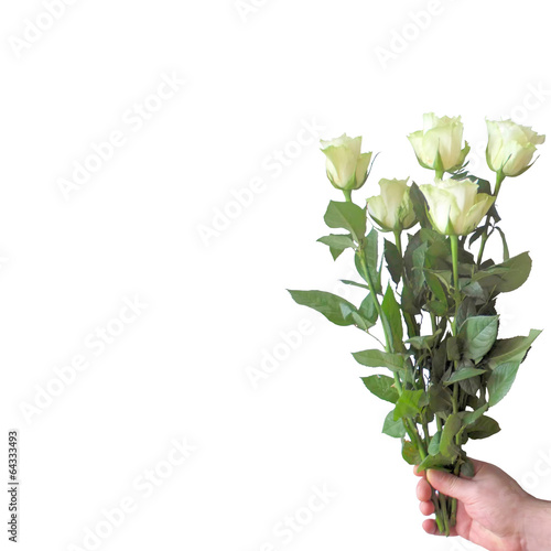 White roses. photo