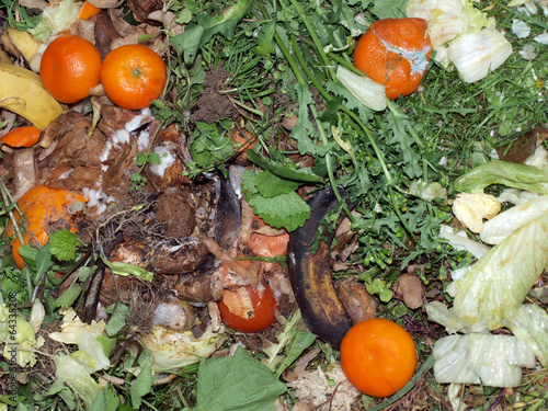 Kitchen and garden waste on a compost heap left to decompose.