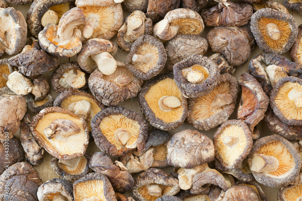 dried shiitake mushroom dried shiitake mushroom