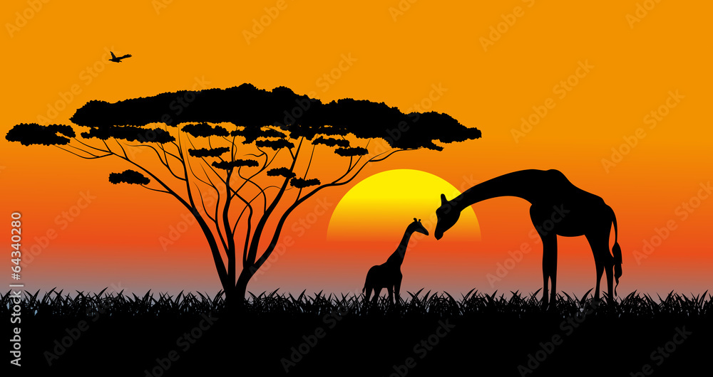 African savanna an evening landscape African savanna an evening landscape