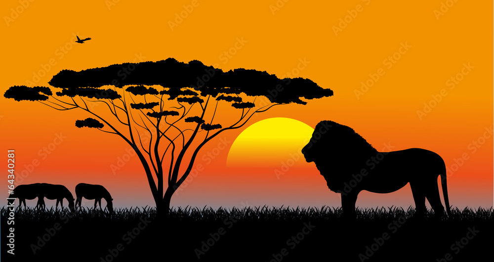 African savanna an evening landscape