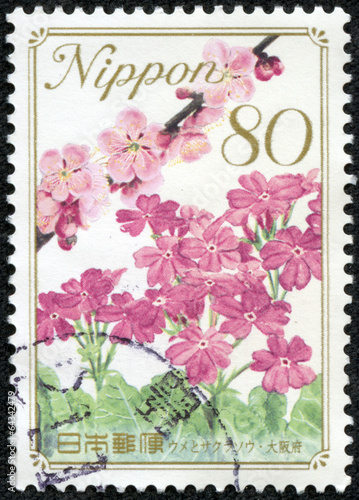 stamp printed in Japan shows chamomile